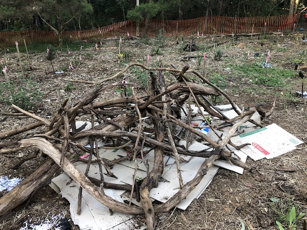 building a bramble cage