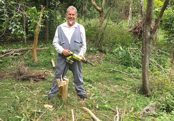 A tree stump and a battery-powered saw